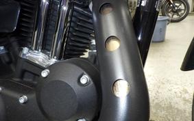 HARLEY XL883N 2021