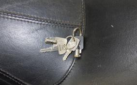 HARLEY FLSTN1690 2017