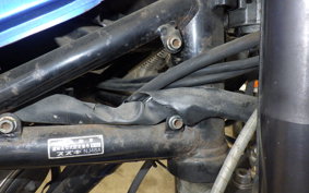 SUZUKI GOOSE 250 NJ46A