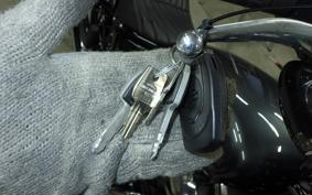 HARLEY FXBB1920 2025