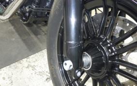 HARLEY XL1200XS 2019