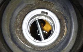 HONDA CREA SCOOPY 2023 AF55