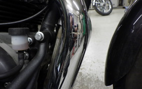 OTHER +ENFIELD SUPER ﾒﾃｵ650 2025