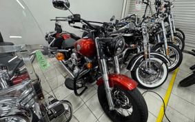 HARLEY FLS 2015 JR5