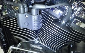 HARLEY FXBR1920 2025