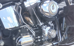 HARLEY FLSTC 2009 BW5