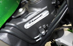 KAWASAKI NINJA1100SX SE 2025 ZXT10H