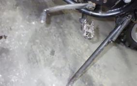 SUZUKI TS125 TS1252