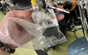 HARLEY  HARLEY FLFBS 2025 YGK