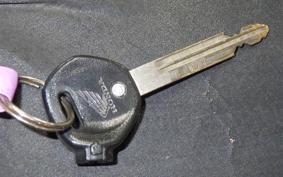 HONDA CREA SCOOPY AF55