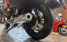 MOTO GUZZI V7 STONE 2019 ZGULW