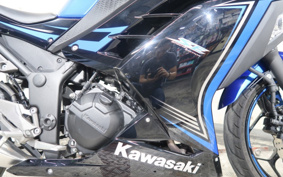 KAWASAKI Ninja 250 SE EX250L