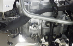 HONDA C50 SUPER CUB 2025 AA09