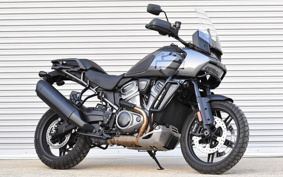 HARLEY PAN AMERICA 1250 2021 ZES