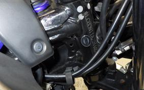 SUZUKI GSX250 R 2022