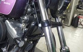 OTHER +HD. XL1200X 2010