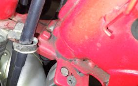 HONDA CL50 BENLY 2025 CD50