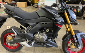 KAWASAKI Z125 PRO BR125H