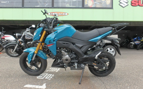 KAWASAKI Z125 PRO BR125H