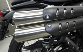 TRIUMPH SCRAMBLER 900 2026