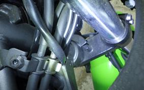 KAWASAKI NINJA 250 2 2021 EX250Y