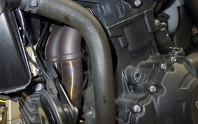 TRIUMPH SPEED TRIPLE RS 2019