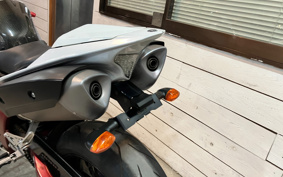YAMAHA YZF-R1 2009 RN24J