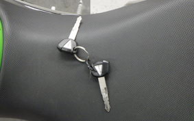 KAWASAKI NINJA 400 2019 EX400G