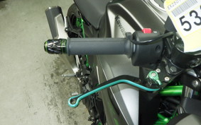 KAWASAKI Z250 Gen.2 2025 EX250Y