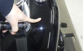 HARLEY FLSB 1750 2021