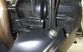 KAWASAKI Z250 SL 2023 BR250E