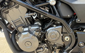 HARLEY  HARLEY X350 2024 W3C