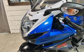 SUZUKI GSX-R600 2014 C3111