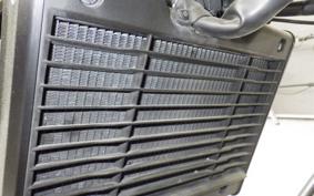 HONDA REBEL 1100 DCT 2021 SC83