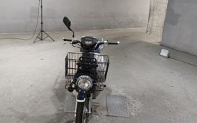 HONDA SUPER CUB110 JA10