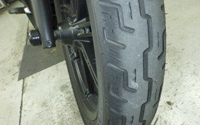 HARLEY RH975 2022