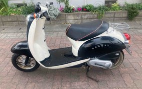 HONDA CREA SCOOPY AF55