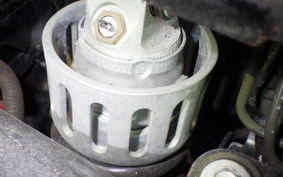 SUZUKI Vｽﾄﾛｰﾑ250A 2023