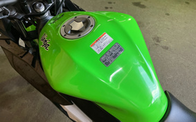 KAWASAKI Ninja 250SL BX250A