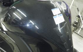KAWASAKI NINJA 1000SX 2024 ZXT02K