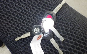 YAMAHA TENERE 700 2020 DM09J