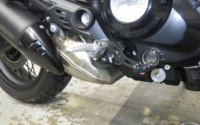 DUCATI SCRAMBLER 2024