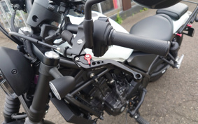 HONDA  REBEL 250 ABS MC49