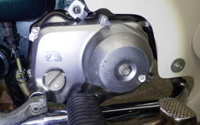 HONDA C50 SUPER CUB 2026 C50