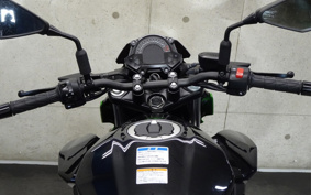 KAWASAKI Z250 EX250Y
