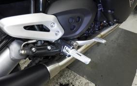 TRIUMPH SPEED TWIN 2020