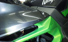 KAWASAKI NINJA 400 2024 EX400L