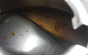 HONDA MONKEY 2011 Z50J