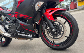 KAWASAKI Ninja 250 ABS EX250P
