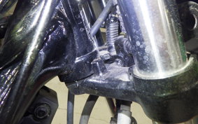 YAMAHA RZ250R 2023 29L
